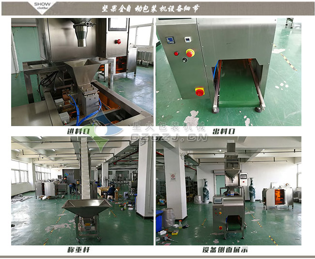 坚果全自动天辰平台登陆地址机