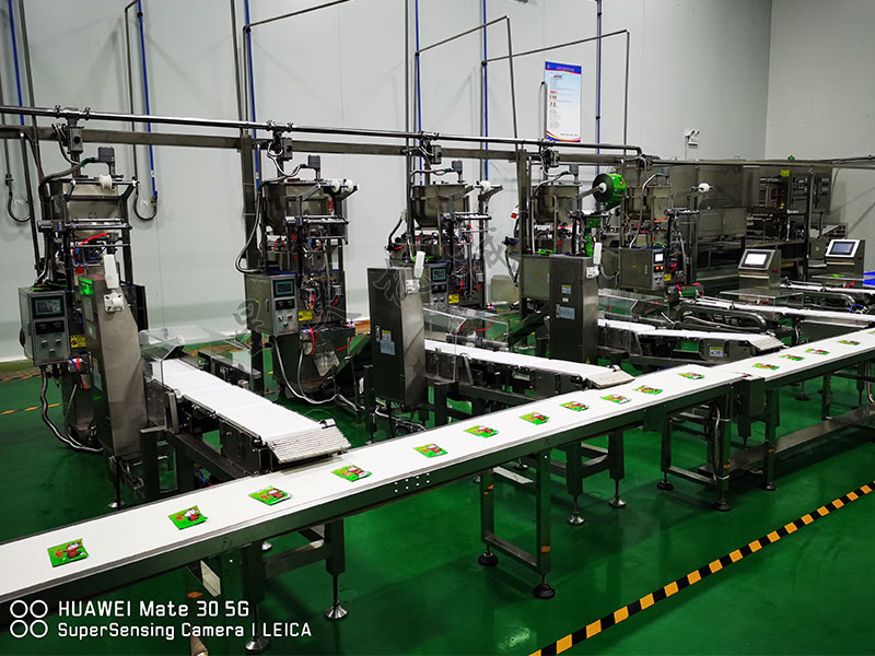 自动半成品加工食品天辰平台登陆地址生产线图片